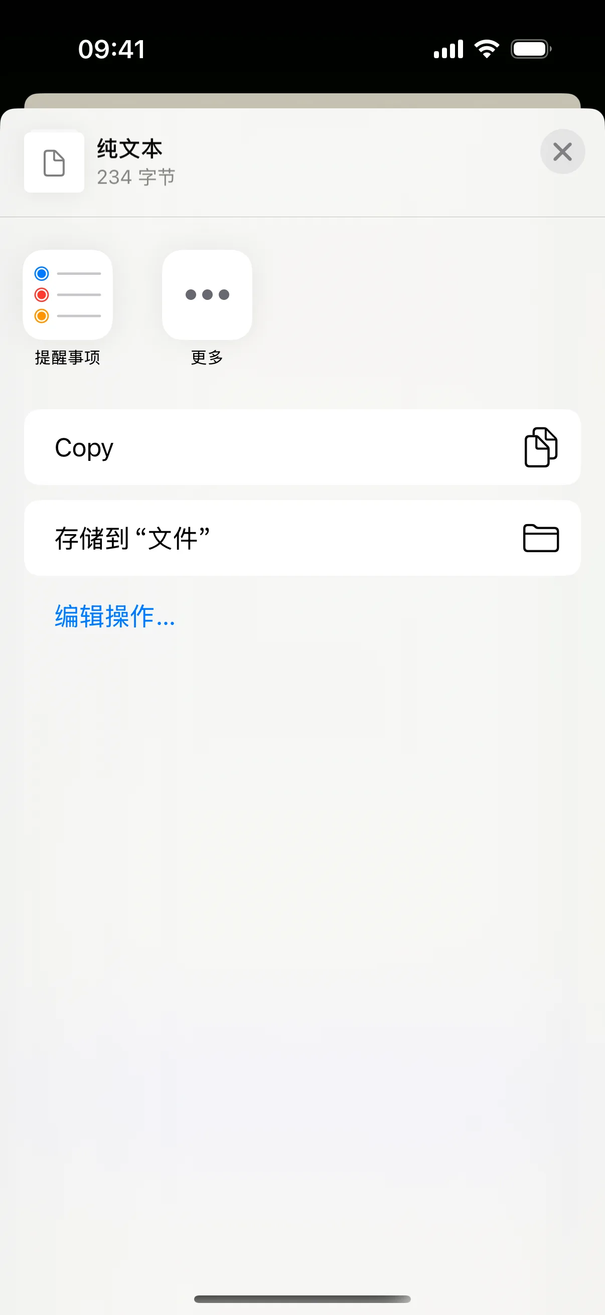 App 已准备导出文件,并打开原生 iOS 分享面板;最终目录需自行选择。