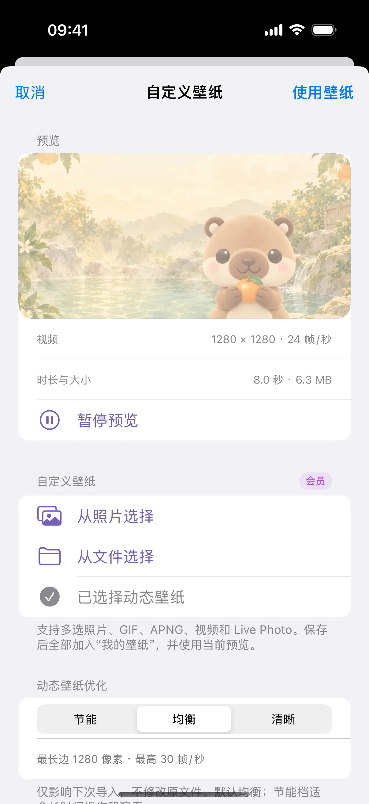 已从照片库导入水豚演示视频,预览和「使用壁纸」按钮均已就绪。