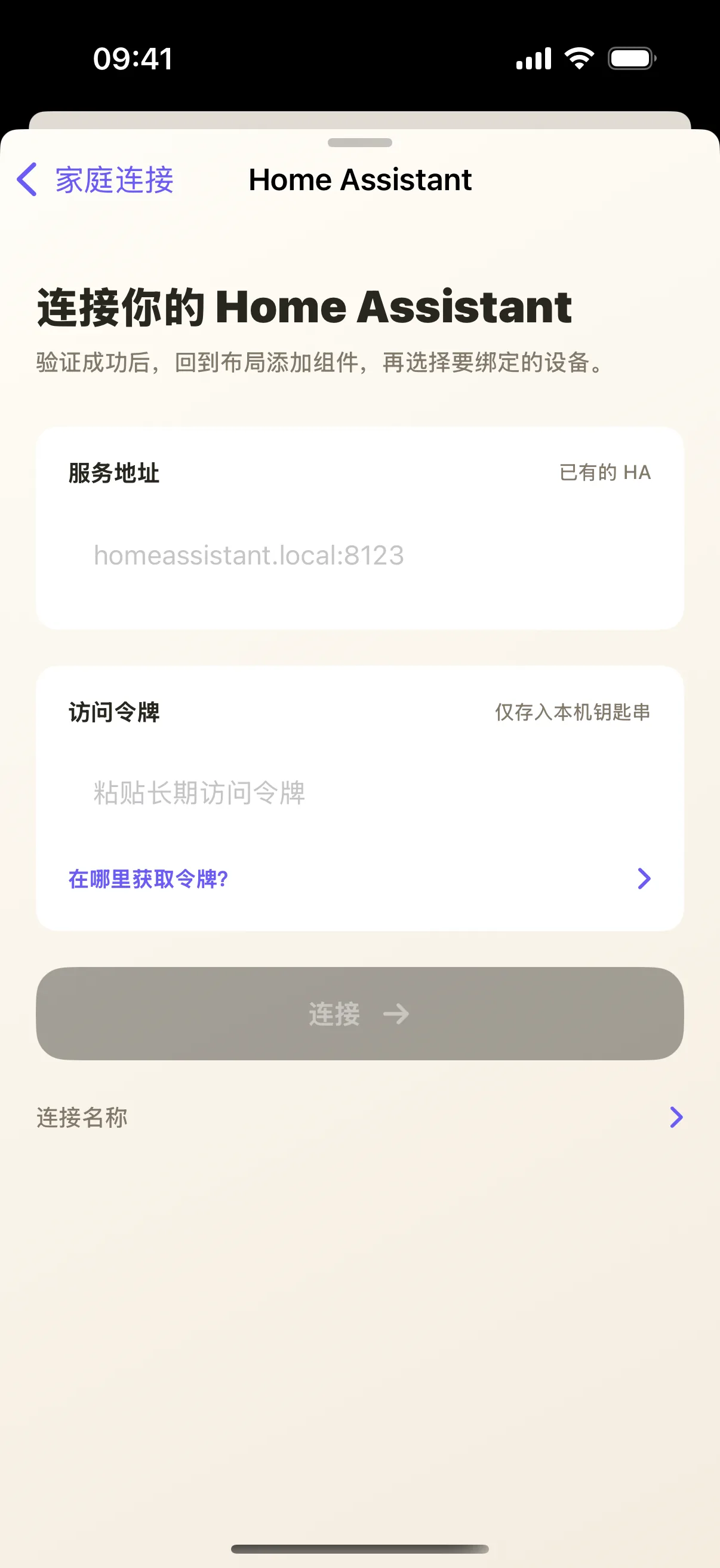 实际打开的 Home Assistant 连接表单;教程截图不填入真实访问令牌。